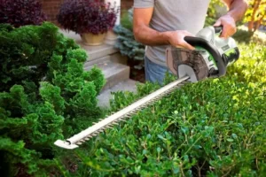 hedge trimmers brisbane