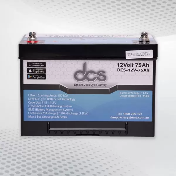 Lithium Ion Deep Cycle Battery Price