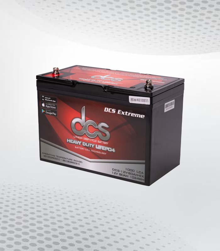 Best Dual Purpose Marine Battery