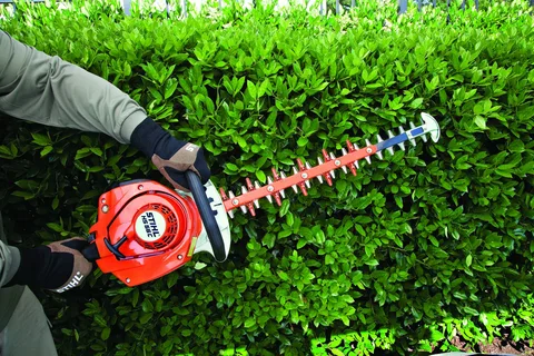 Hedge Trimmers Brisbane